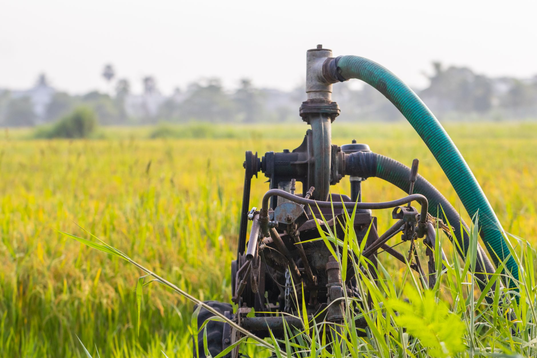 Toko pompa air menyediakan berbagai model pompa berkualitas untuk kebutuhan rumah dan industri.